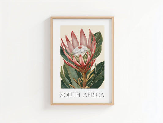 Protea Flower- Illustrated Art Print