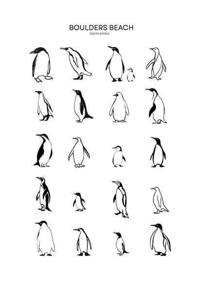 Boulders Beach Penguins- Illustrated Tote Bag