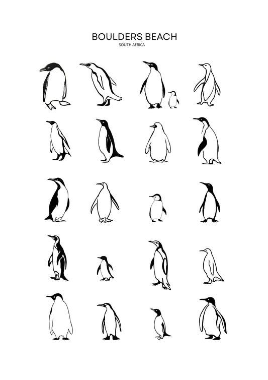 Boulders Beach Penguins- Illustrated Tote Bag