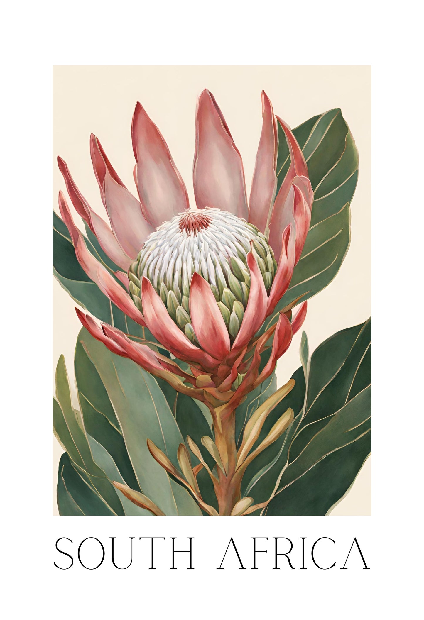Protea Flower- Collectable Magnet